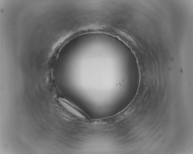 X0000071331160200607212000