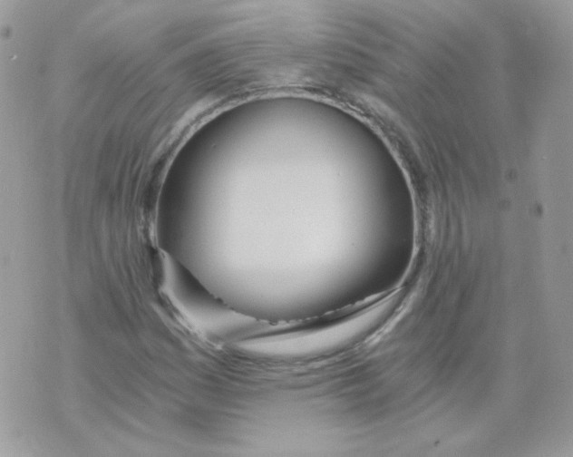 X0000071331161200607212000