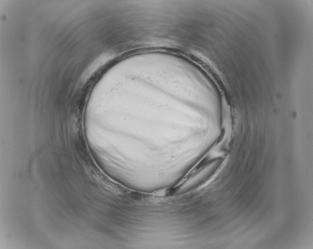 X0000071331163200607212000