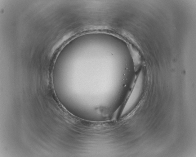 X0000071331165200607212000