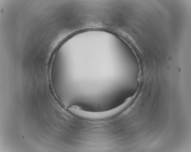 X0000071331168200607212000