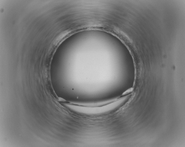 X0000071331169200607212000