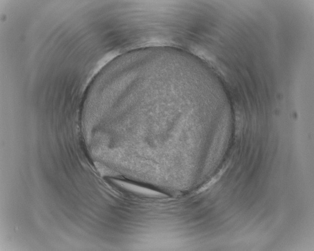 X0000071331170200607212000