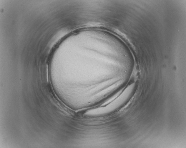 X0000071331171200607212000