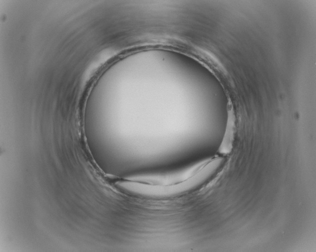 X0000071331172200607212000