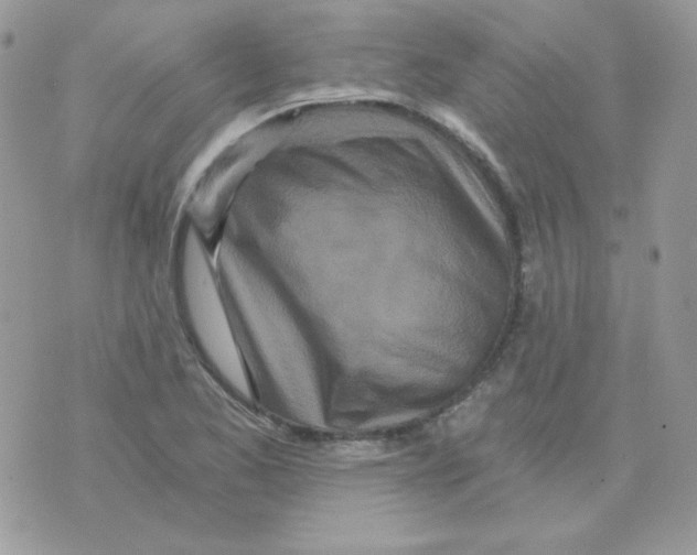 X0000071331173200607212000