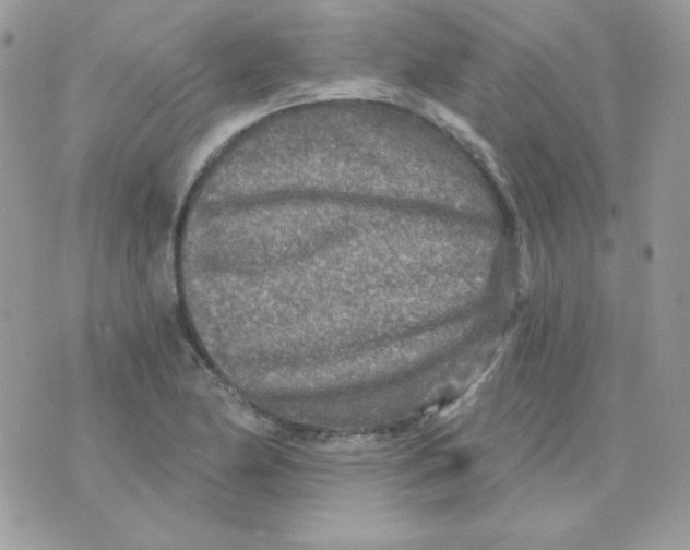 X0000071331174200607212000