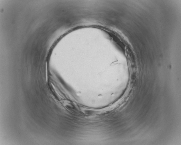 X0000071331175200607212000