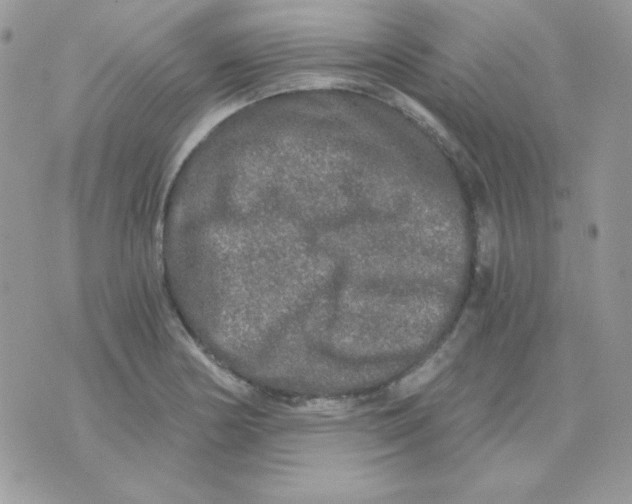 X0000071331178200607211959