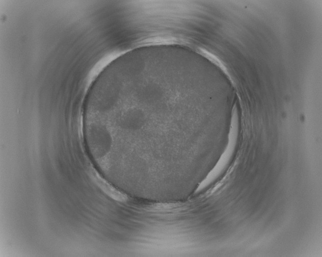 X0000071331179200607211959