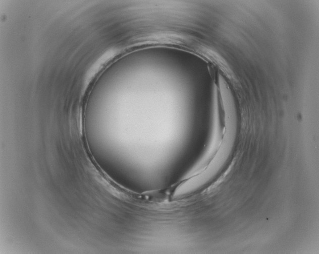 X0000071331180200607211959