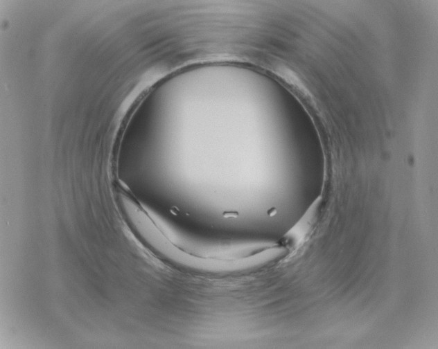 X0000071331181200607211959