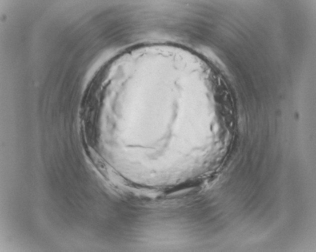 X0000071331183200607211959