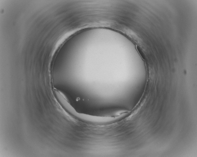 X0000071331184200607211959