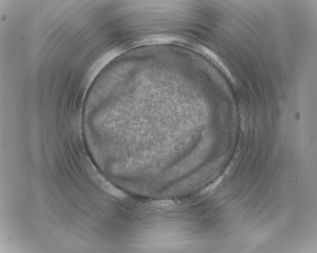 X0000071331186200607211959