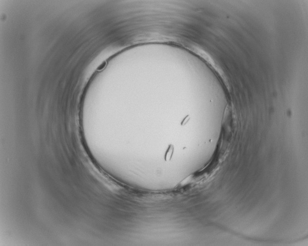 X0000071331187200607211959