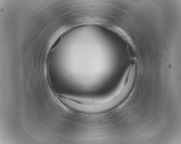 X0000071331188200607211959