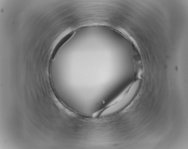 X0000071331189200607211959