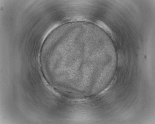 X0000071331190200607211959