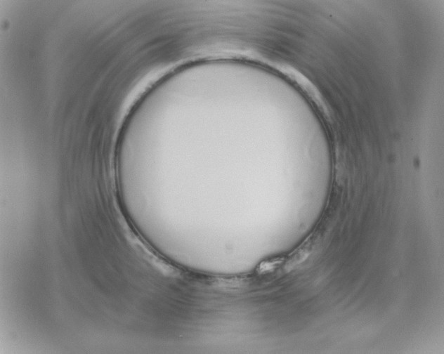 X0000071331191200607211959