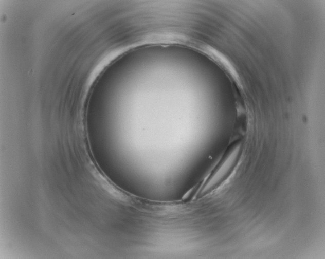 X0000071331192200607211959