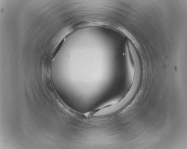 X0000071331193200607211959