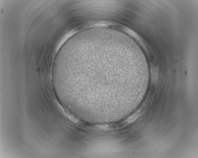 X0000071331194200607211959