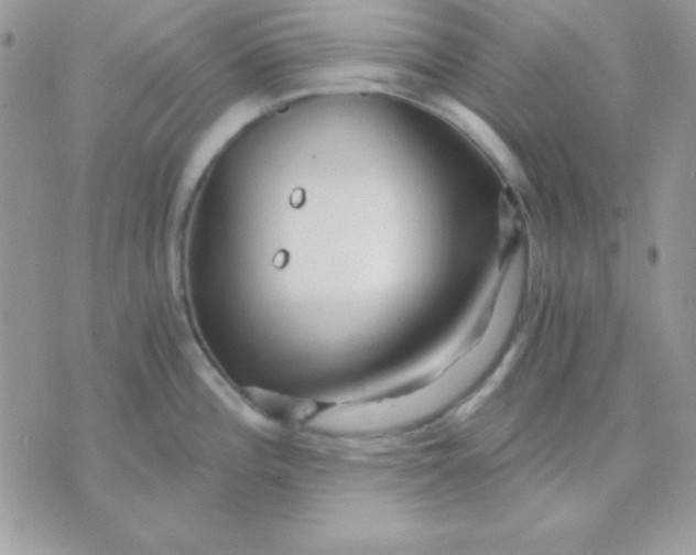 X0000071331196200607211959