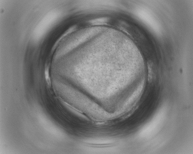 X0000071331198200607211959