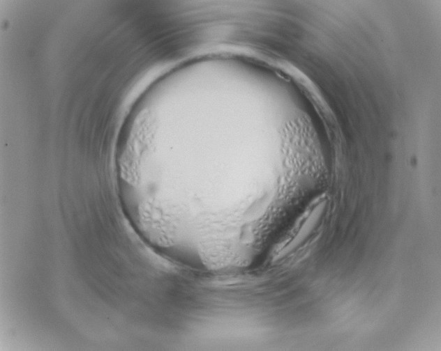 X0000071331199200607211959