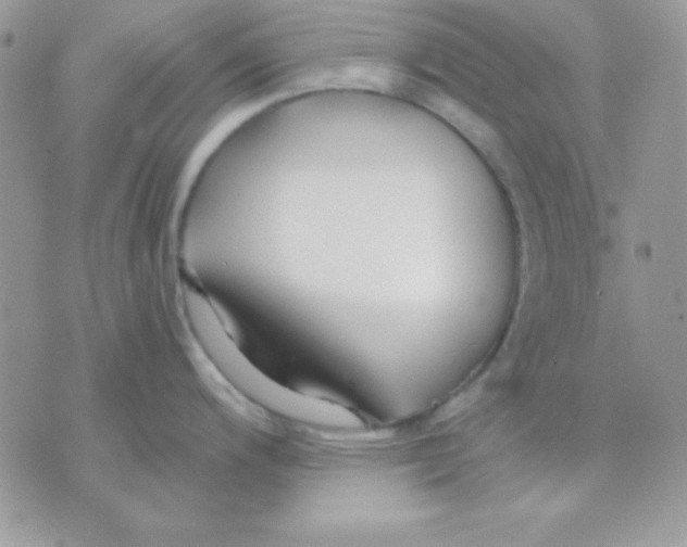 X0000071331200200607211959