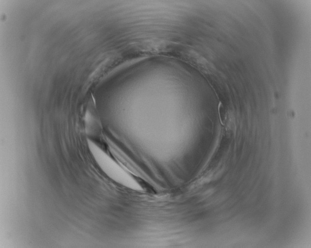 X0000071331202200607211958