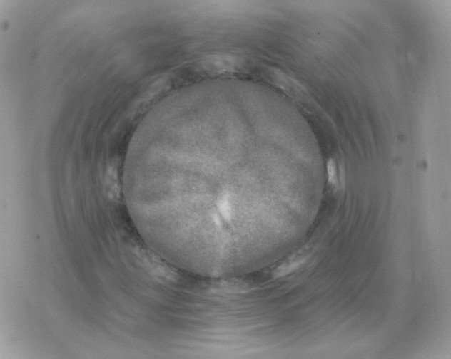 X0000071331203200607211958