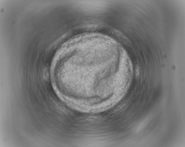 X0000071331204200607211958