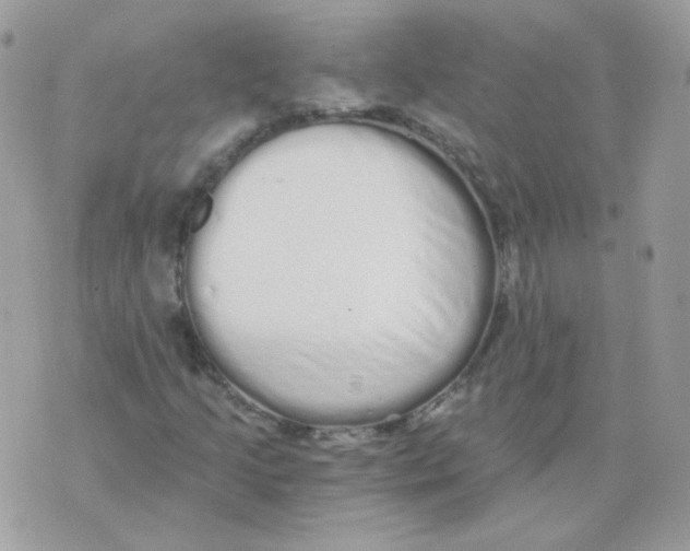 X0000071331205200607211958