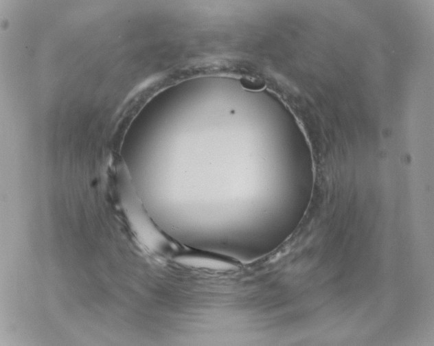 X0000071331206200607211958