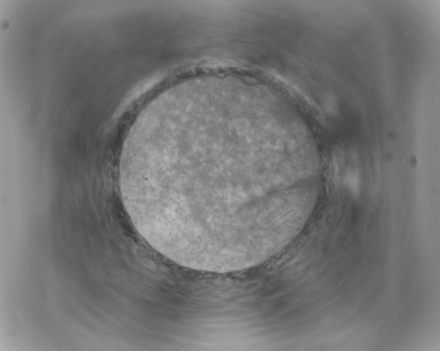 X0000071331207200607211958