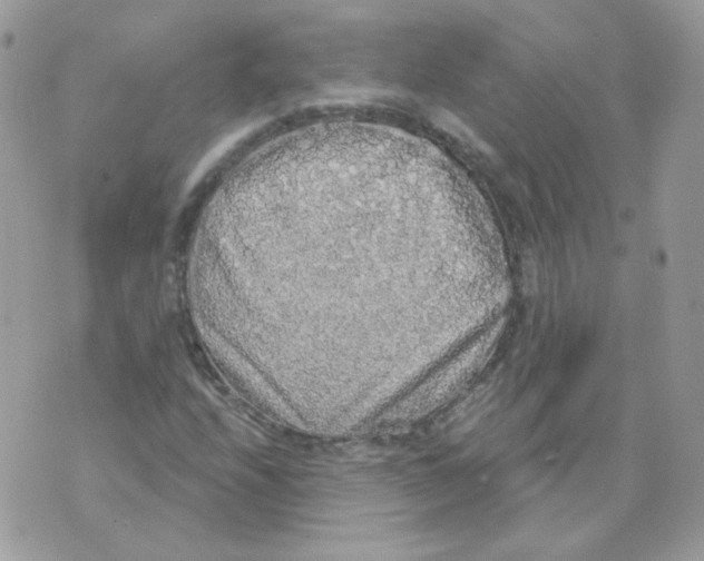 X0000071331208200607211958