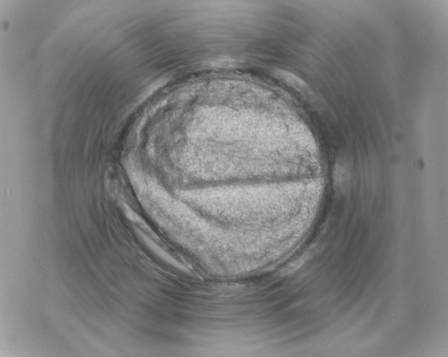 X0000071331209200607211958