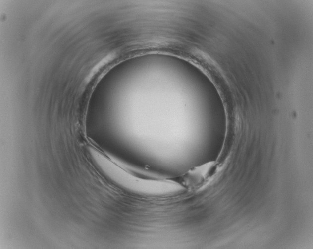 X0000071331210200607211958