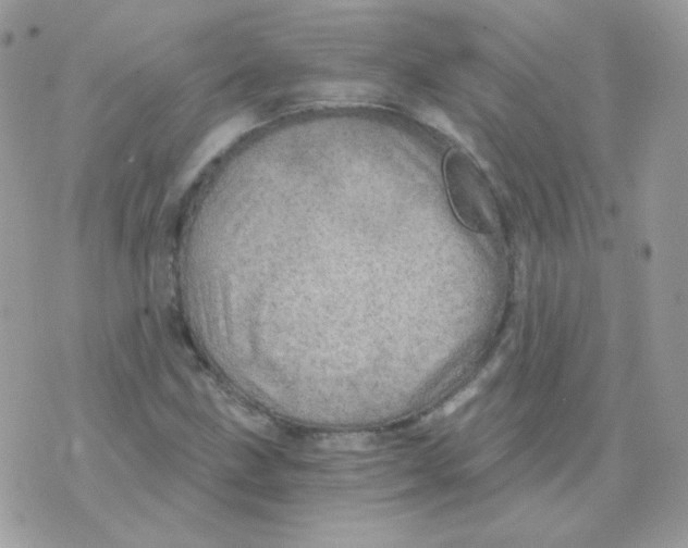 X0000071331211200607211958