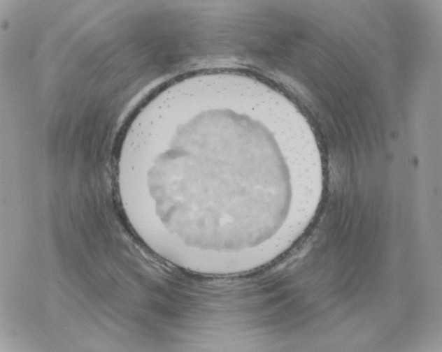 X0000071331212200607211959