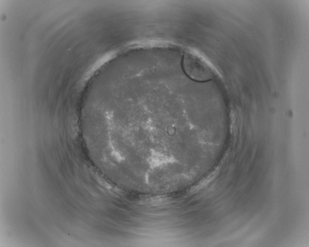 X0000071331213200607211959