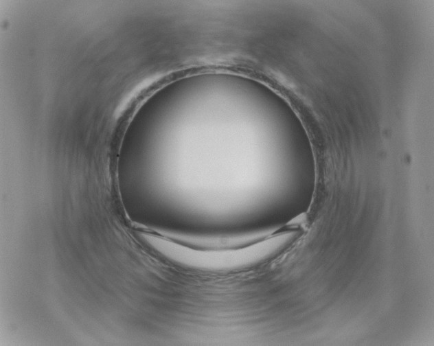 X0000071331214200607211959