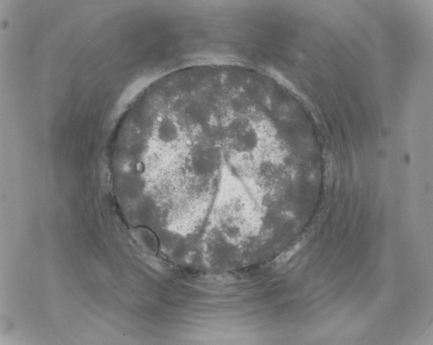 X0000071331215200607211959