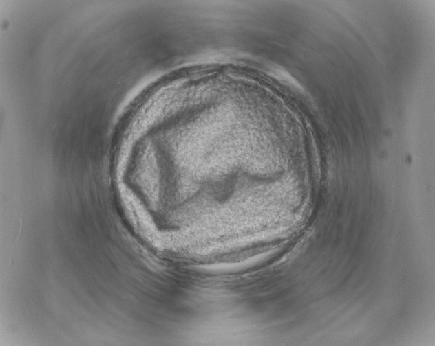 X0000071331216200607211959