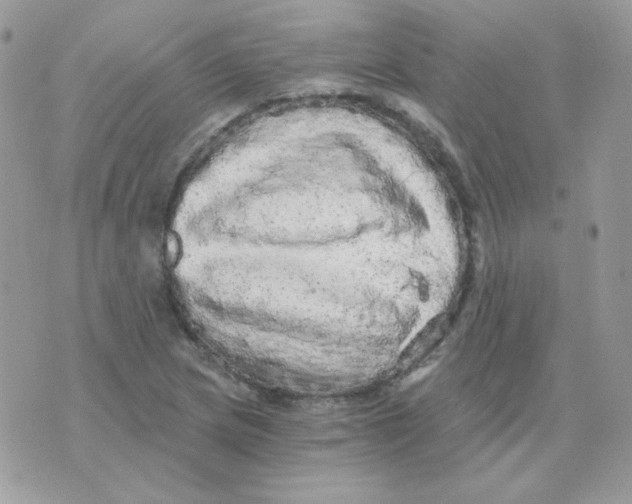 X0000071331217200607211959