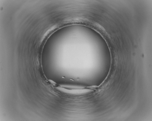 X0000071331218200607211959