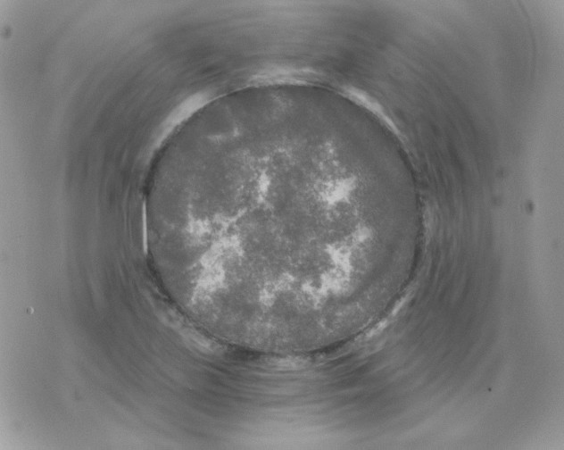 X0000071331219200607211959