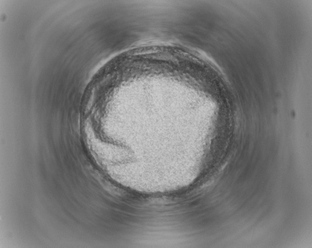 X0000071331220200607211959